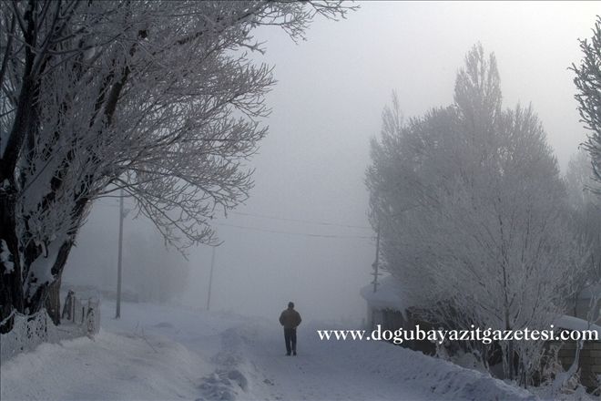 Ağrı-Erzurum kara yolunda yoğun sis