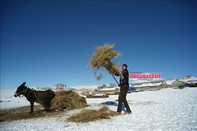 AH KARAKIŞ... DOĞU´YU YUTAN KARAKIŞ...