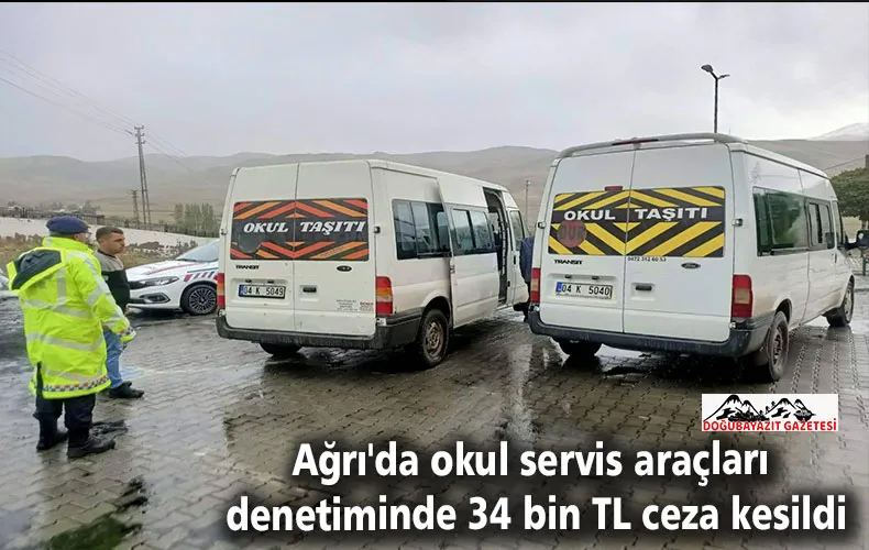 ARAÇLARA DENETİM