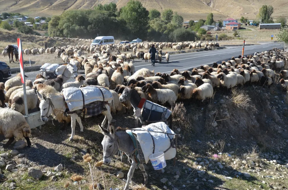 GÖÇERLER HAVANIN SOĞUMASIYLA DÖNÜŞ YOLCULUĞUNA BAŞLADI