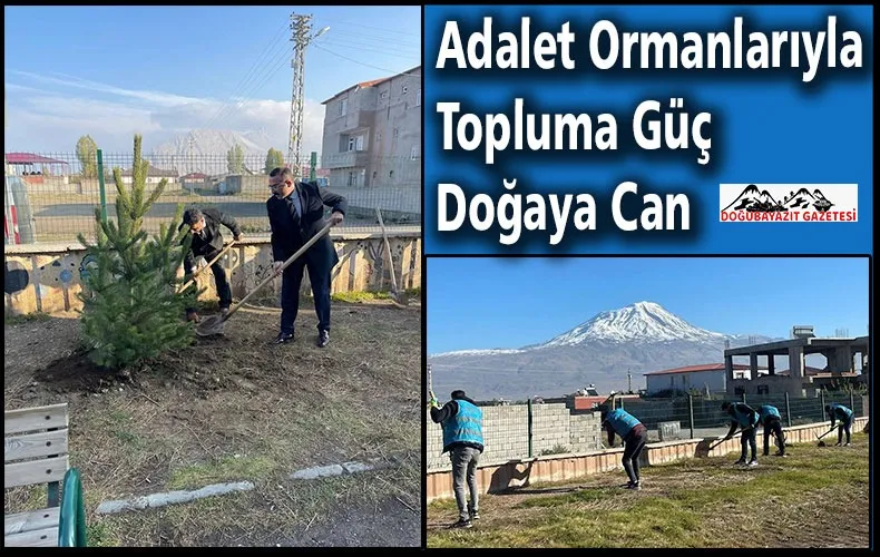 ADALET ORMANLARIYLA TOPLUMA GÜÇ DOĞAYA CAN