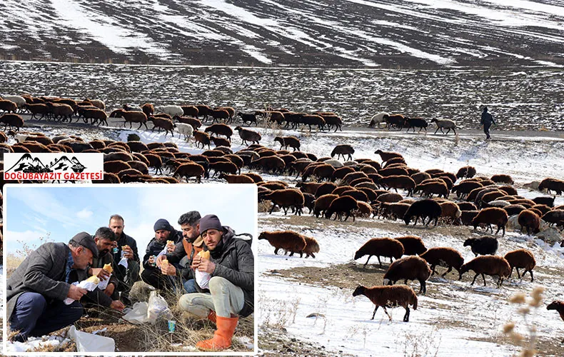 YAYLADA ERKEN KAR SÜRPRİZİYLE KARŞILAŞAN ÇOBANLAR SÜRÜLERİYLE DÖNÜŞE GEÇTİ