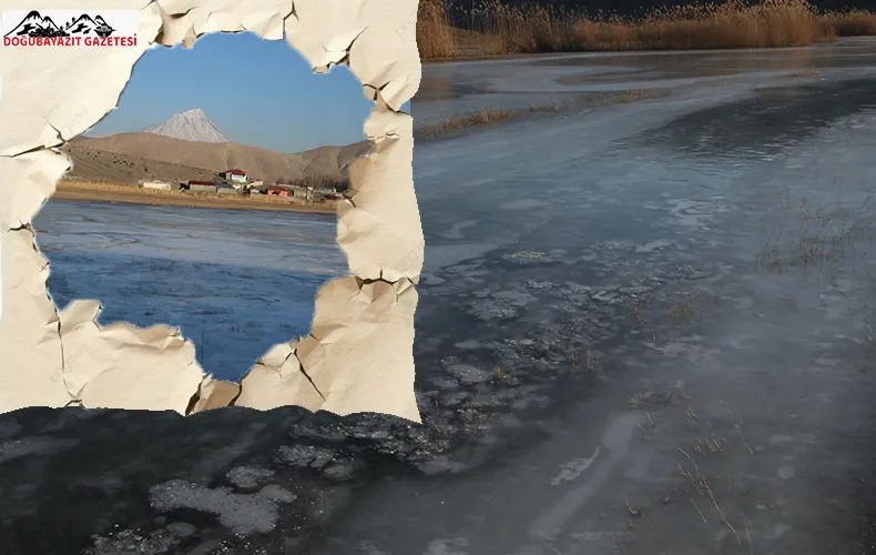 DOĞUBAYAZIT’DA SULAK ALANLAR BUZ TUTTU