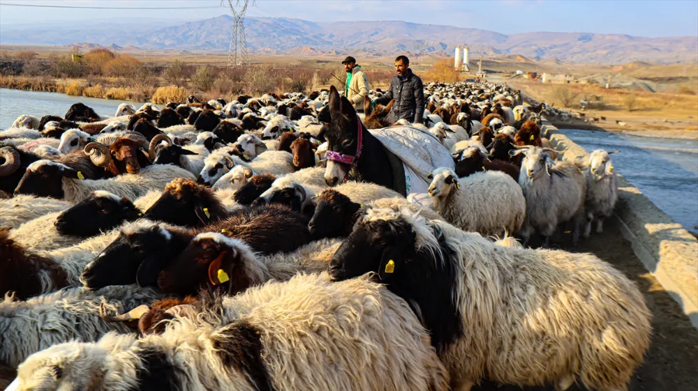 GÖÇERLER, AĞRI