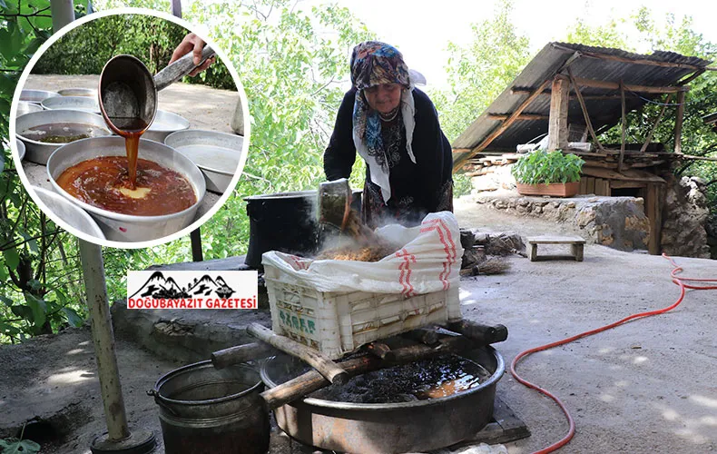 EĞİN DUTUNUN PEKMEZE YOLCULUĞU İÇİN KAZANLAR YAKILDI