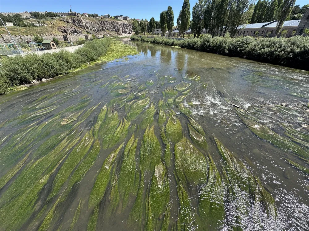 SICAKLARIN ETKİSİYLE SUYU AZALAN  KURA NEHRİ