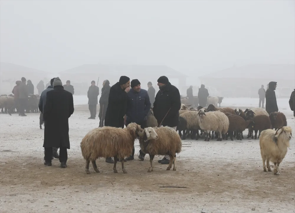 AĞRI’DA AKARSULAR BUZLA, AĞAÇLAR VE BİTKİLER KIRAĞIYLA KAPLANDI