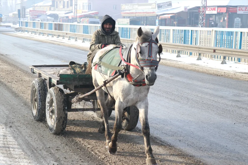 AĞRI