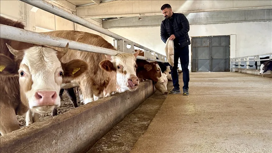 Baba mesleği besiciliği devlet desteğiyle modern tesise taşıdı