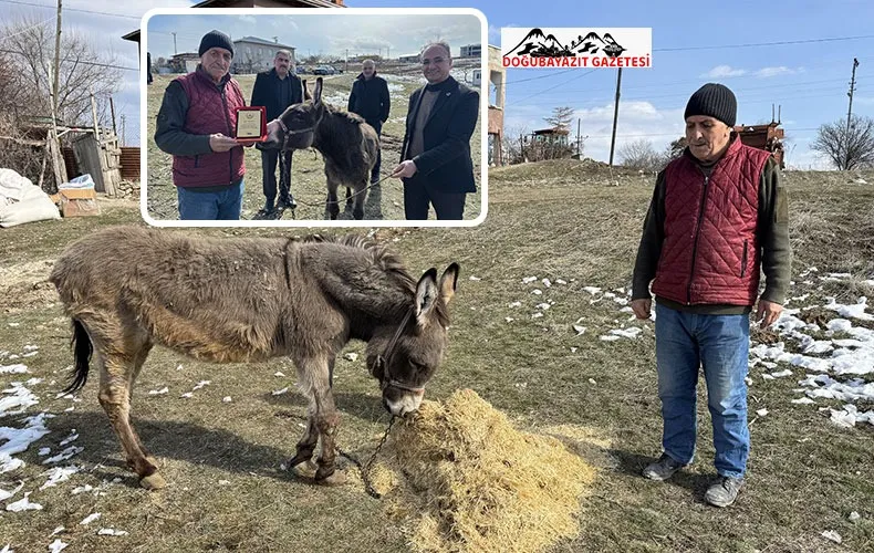 KIRSALA TERK EDİLEN EŞEĞE 21 YILDIR BAKAN HAYVANSEVERE DESTEK YAĞDI