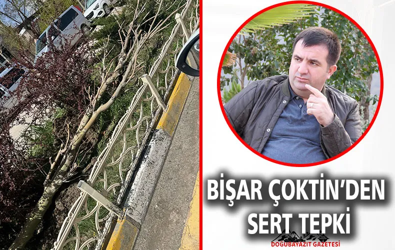 DOĞUBAYAZIT