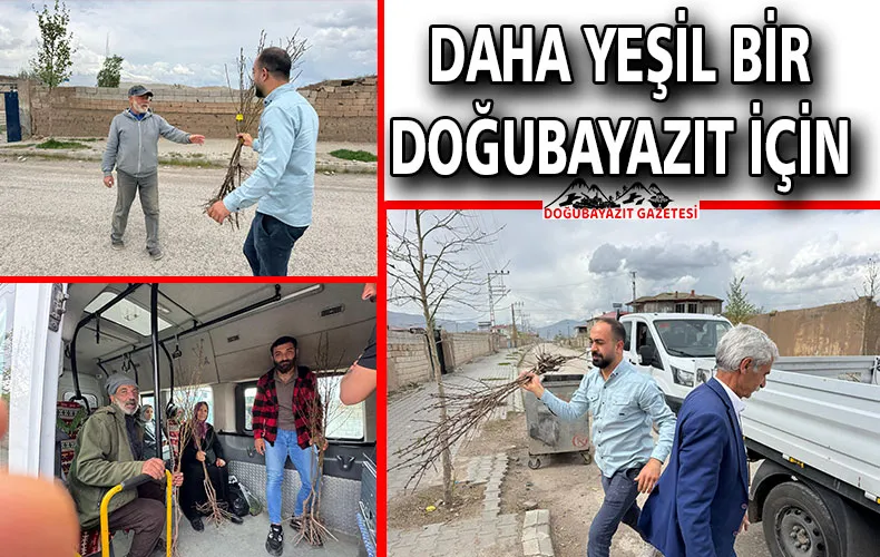 DOĞUBAYAZIT BELEDİYESİ’NDEN GELECEĞE NEFES:  YÜZLERCE FİDAN HALKLA BULUŞTU