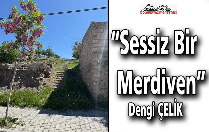 “SESSİZ BİR MERDİVEN” 