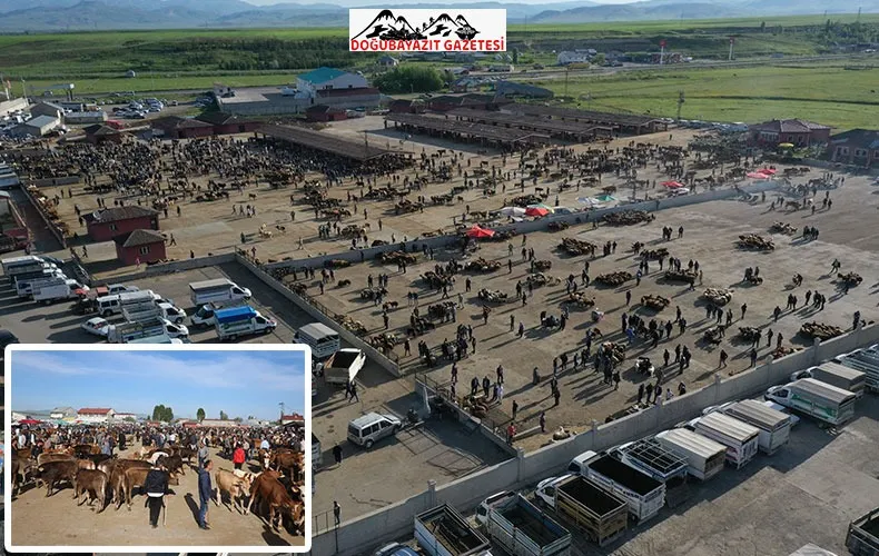 DOĞU ANADOLU