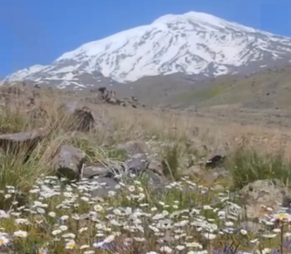 Ağrı Dağı