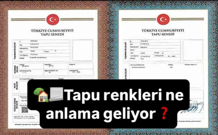Tapu Renkleri Ne Anlama Geliyor?
