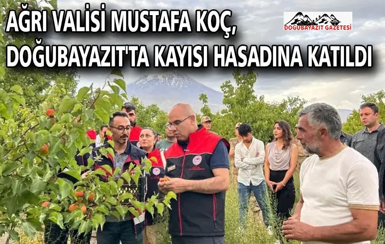 Ağrı Valisi Mustafa Koç, Doğubayazıt