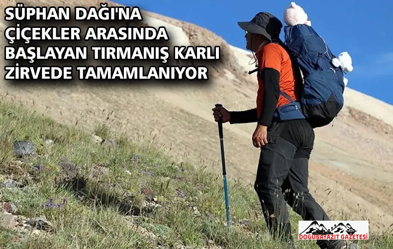 Süphan Dağı