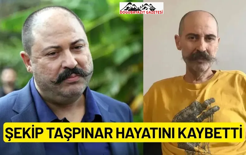 Kibritçi Cevat