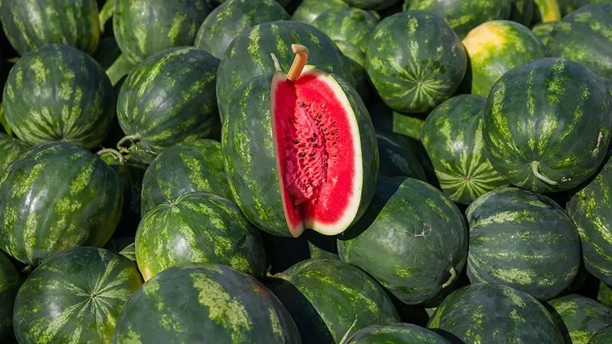 Uzmanından karpuzun lezzeti için gübreleme önerisi