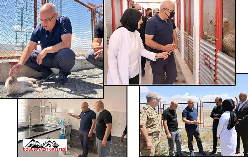 VALİ MUSTAFA KOÇ, DOĞUBAYAZIT HAYVAN BARINAĞI’NDA İNCELEMELERDE BULUNDU