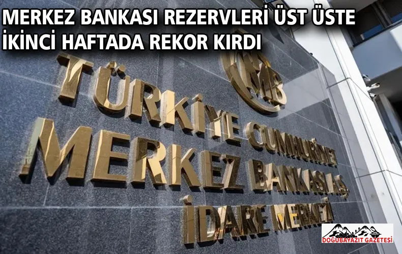 Merkez Bankası rezervleri üst üste ikinci haftada rekor kırdı