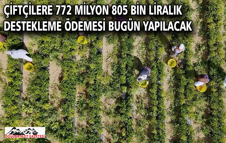 Çiftçilere 772 milyon 805 bin liralık destekleme ödemesi bugün yapılacak