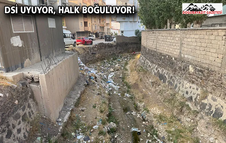 DSİ UYUYOR, HALK BOĞULUYOR!