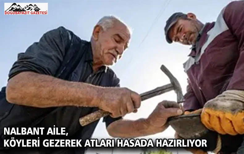 Nalbant aile, köyleri gezerek atları hasada hazırlıyor