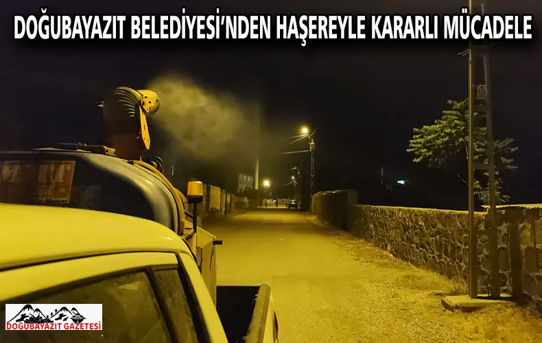 DOĞUBAYAZIT BELEDİYESİ’NDEN HAŞEREYLE KARARLI MÜCADELE