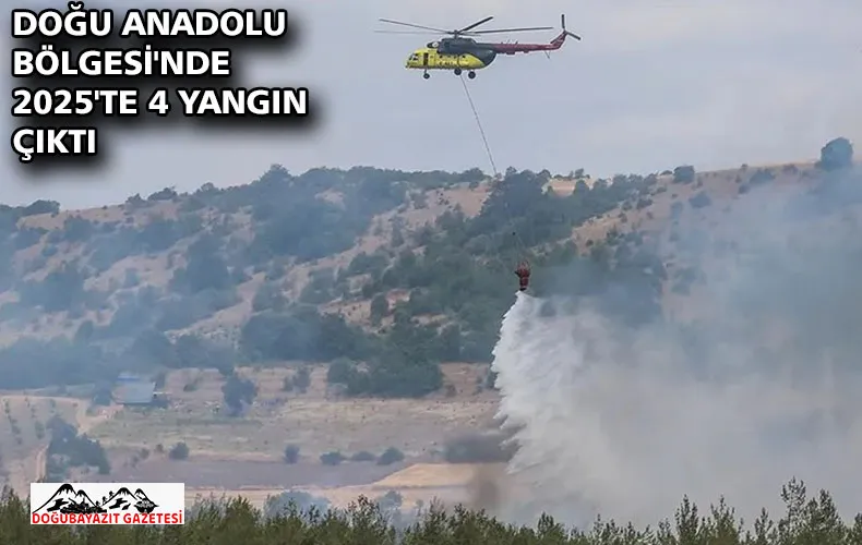Doğu Anadolu Bölgesi