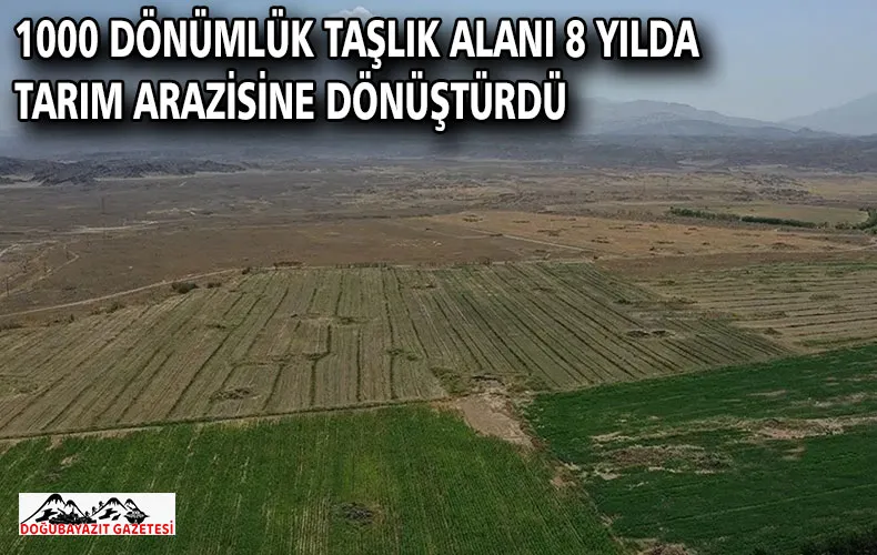1000 dönümlük taşlık alanı 8 yılda tarım arazisine dönüştürdü