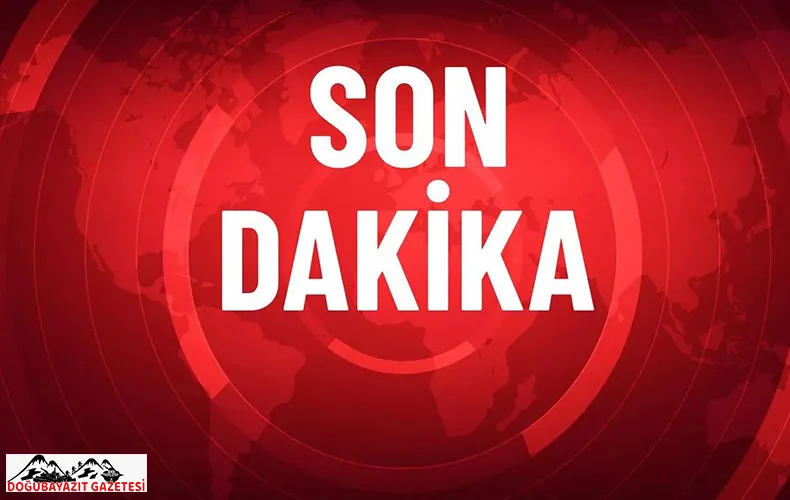PATNOS-ERCİŞ KARAYOLUNDA TRAFİK KAZASI: 3 KOYUN TELEF OLDU