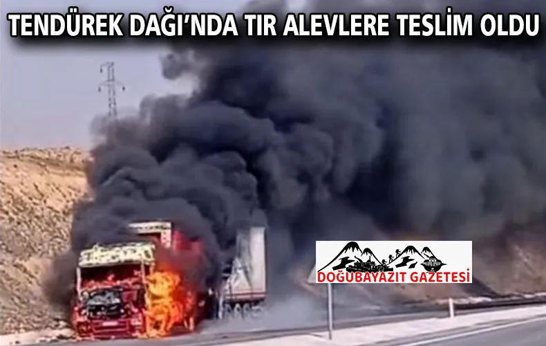 TENDÜREK DAĞI’NDA TIR ALEVLERE TESLİM OLDU