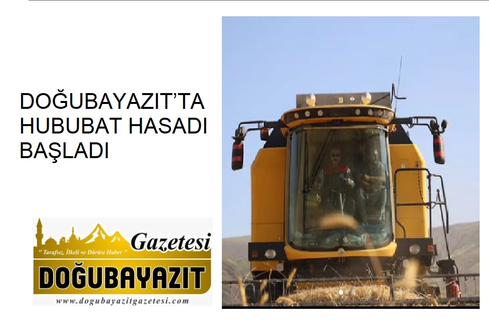 DOĞUBAYAZIT’TA HUBUBAT HASADI BAŞLADI