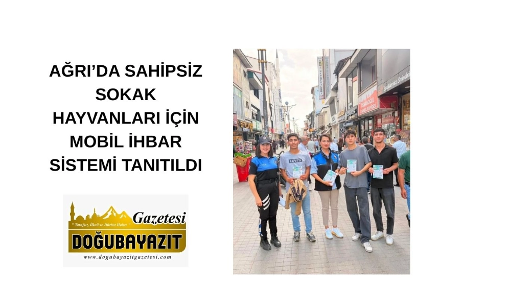 AĞRI’DA SAHİPSİZ SOKAK HAYVANLARI İÇİN MOBİL İHBAR SİSTEMİ TANITILDI