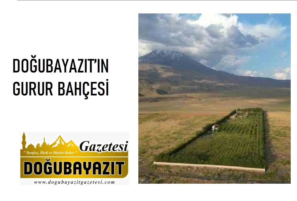 DOĞUBAYAZIT’IN GURUR BAHÇESİ